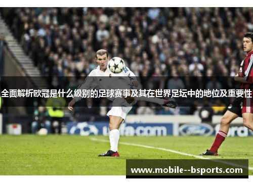 全面解析欧冠是什么级别的足球赛事及其在世界足坛中的地位及重要性