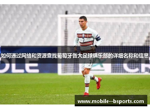 如何通过网络和资源查找葡萄牙各大足球俱乐部的详细名称和信息