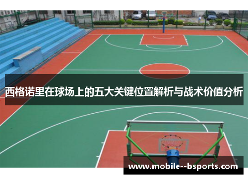 西格诺里在球场上的五大关键位置解析与战术价值分析