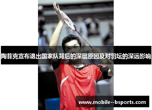 陶菲克宣布退出国家队背后的深层原因及对羽坛的深远影响