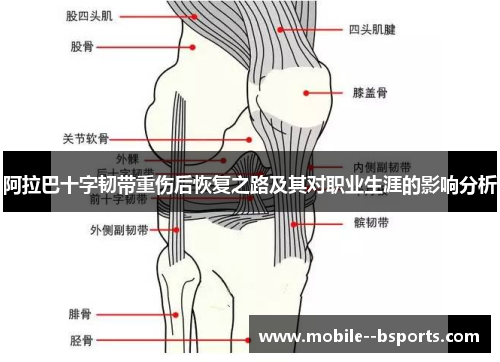 阿拉巴十字韧带重伤后恢复之路及其对职业生涯的影响分析
